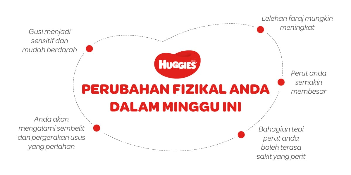 Perubahan Fizikal Ibu Mengandung 16 Minggu | Huggies Malaysia