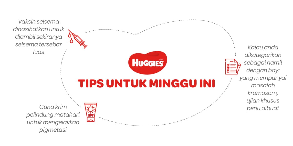 Tips Untuk Mengandung 16 Minggu | Huggies Malaysia