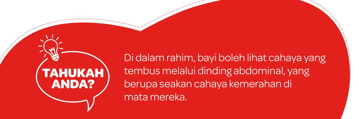 Tahukah Anda - Kehamilan 16 Minggu | Huggies Malaysia