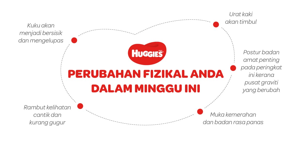 Perubahan Fizikal Ibu Mengandung 17 Minggu | Huggies Malaysia