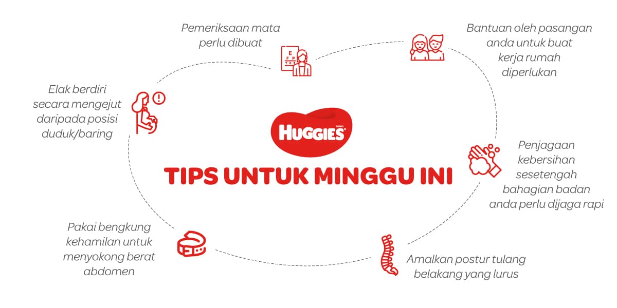 Tips Untuk Mengandung 17 Minggu | Huggies Malaysia