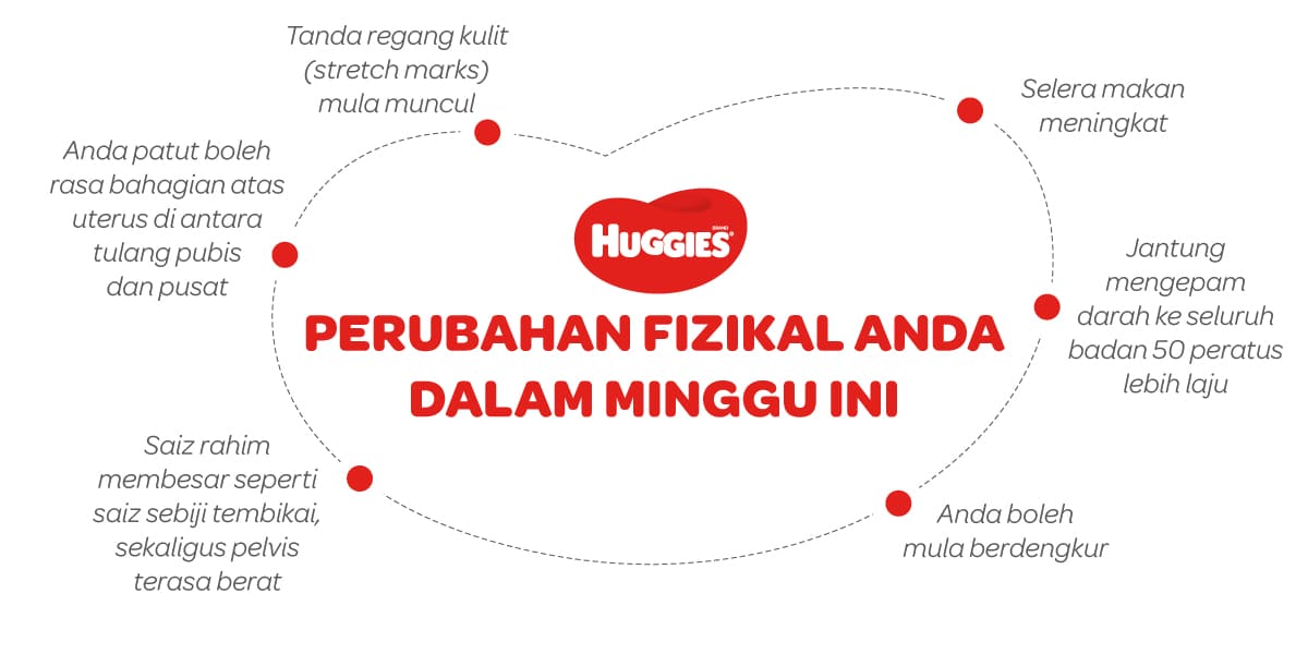 Perubahan Fizikal Ibu Mengandung 18 Minggu | Huggies Malaysia