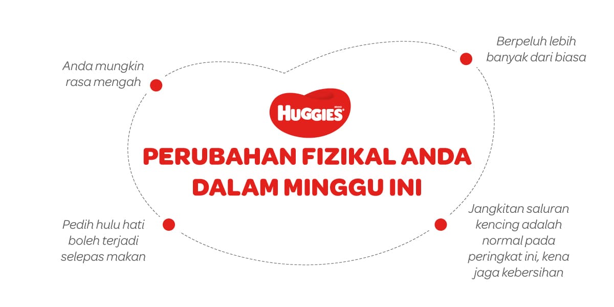 Perubahan Fizikal Ibu Mengandung 19 Minggu | Huggies Malaysia