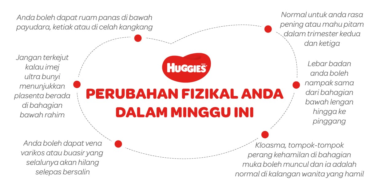 Perubahan Fizikal Ibu Mengandung 20 Minggu | Huggies Malaysia