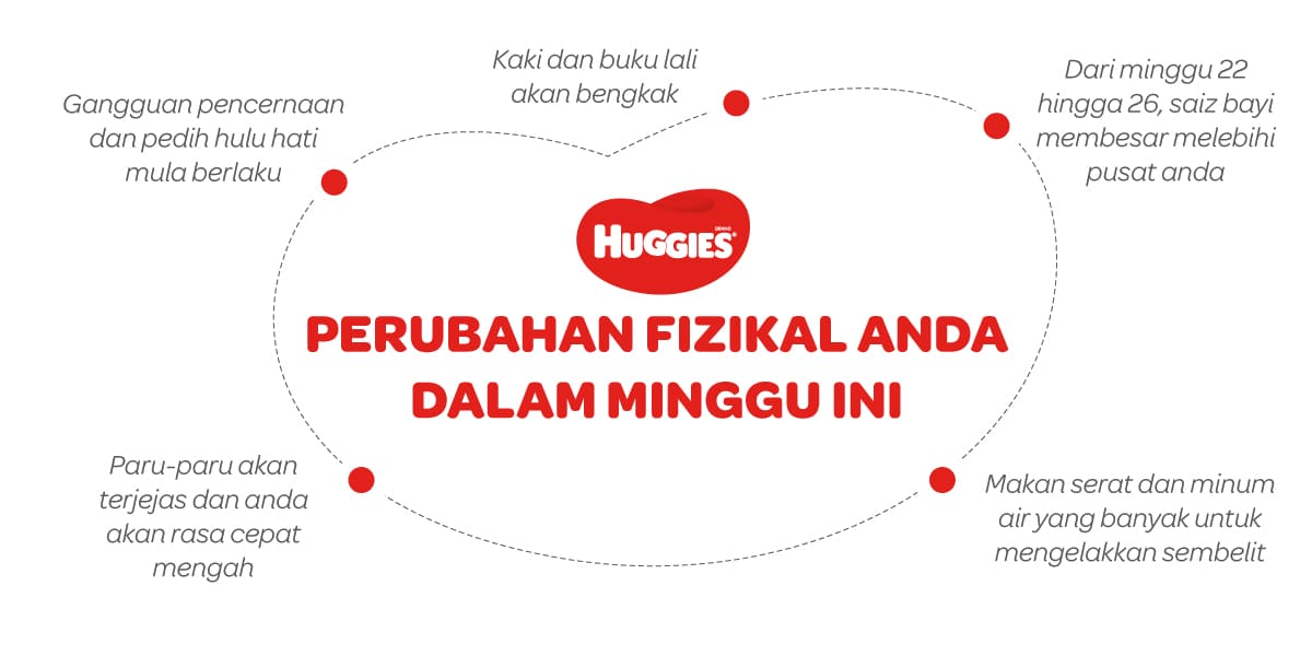 Perubahan Fizikal Ibu Mengandung 22 Minggu | Huggies Malaysia