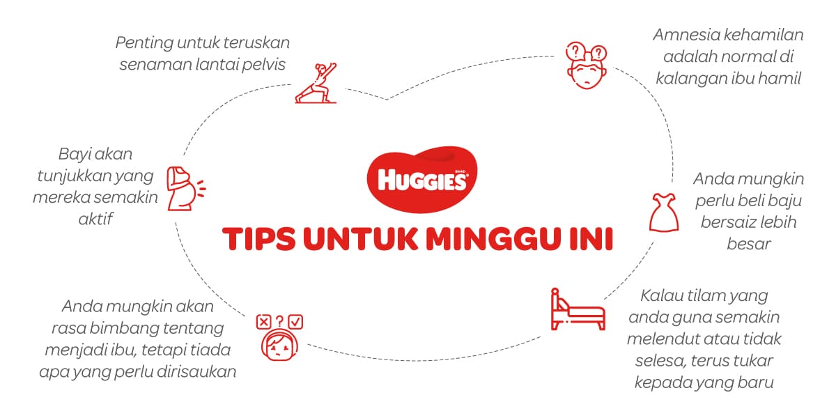 Tips Untuk Mengandung 22 Minggu | Huggies Malaysia