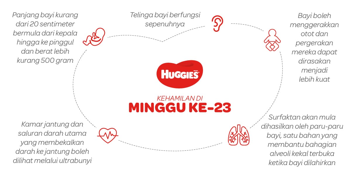 Kehamilan Di Minggu Ke-23 | Huggies Malaysia