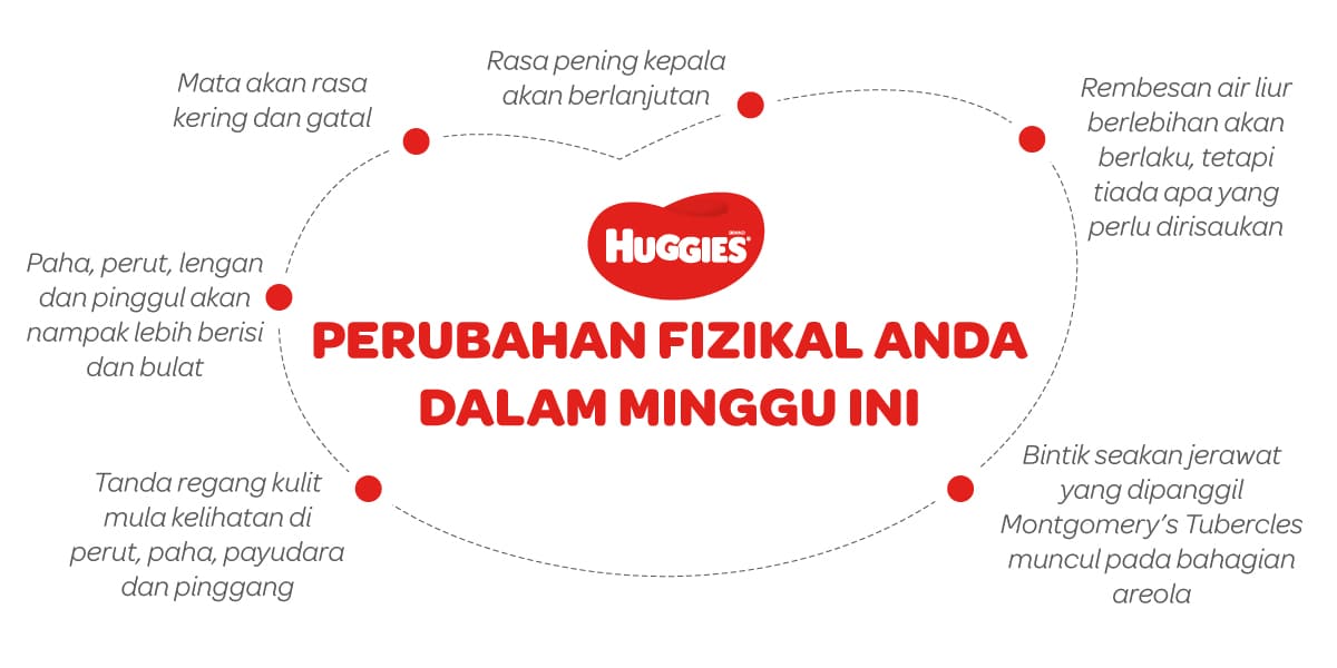 Perubahan Fizikal Ibu Mengandung 23 Minggu | Huggies Malaysia