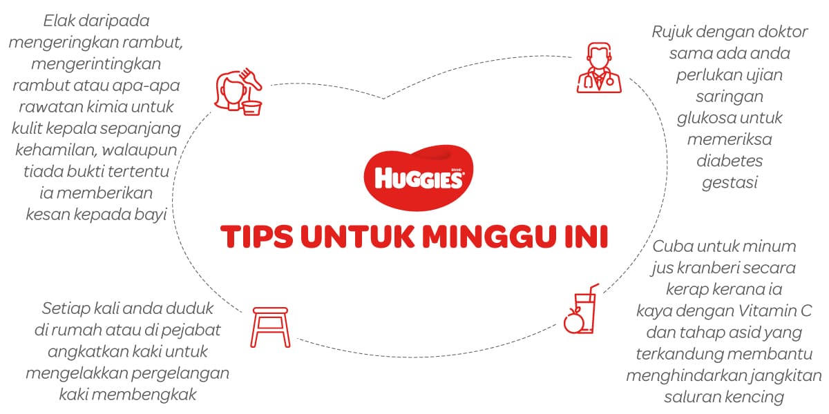 Tips Untuk Mengandung 23 Minggu | Huggies Malaysia