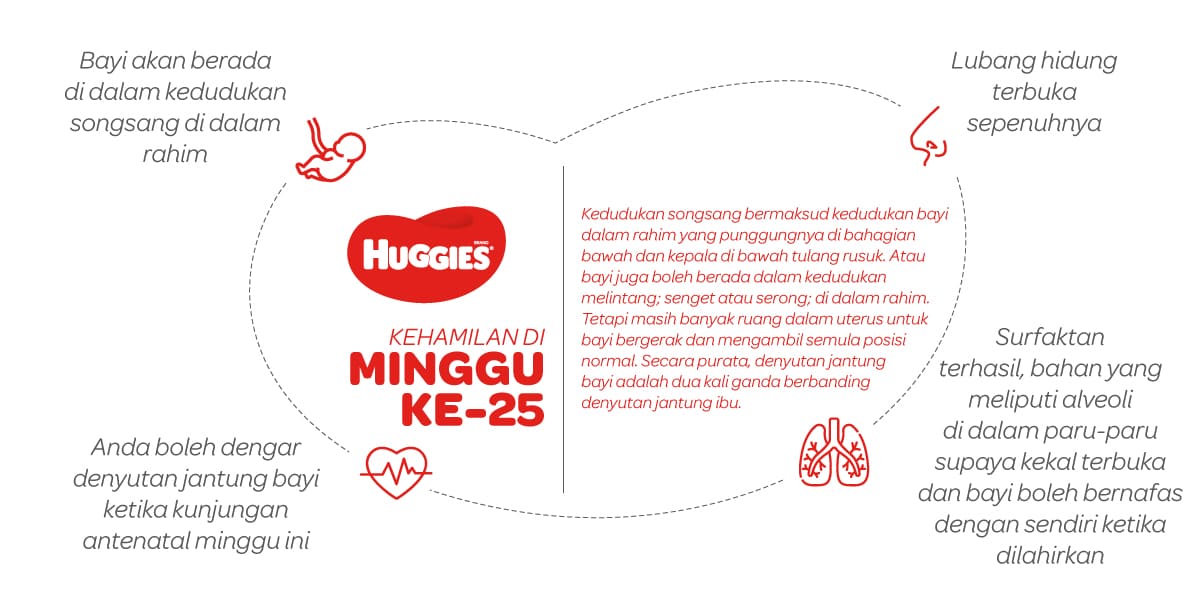 Kehamilan Di Minggu Ke-25 | Huggies Malaysia