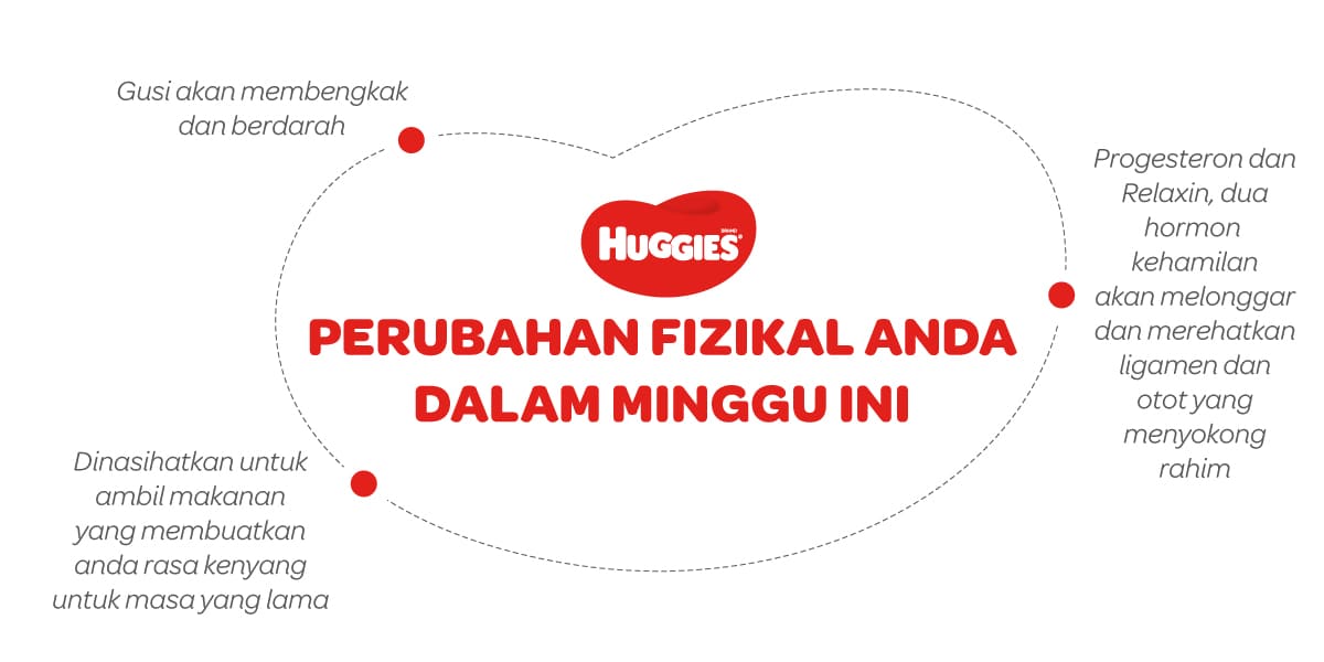 Perubahan Fizikal Ibu Mengandung 25 Minggu | Huggies Malaysia