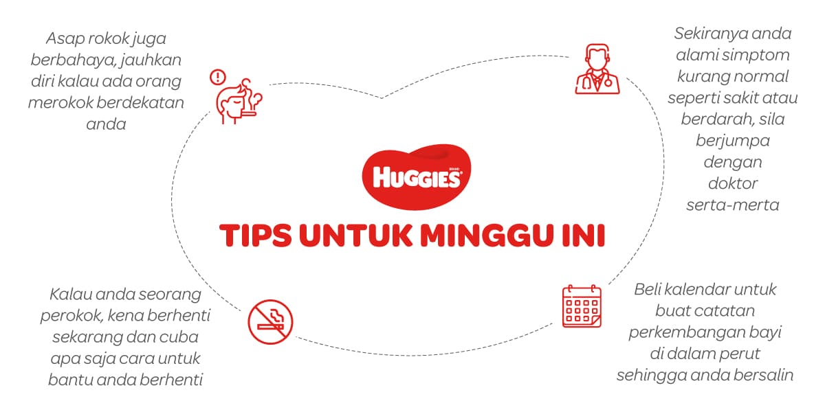 Tips Untuk Mengandung 25 Minggu | Huggies Malaysia