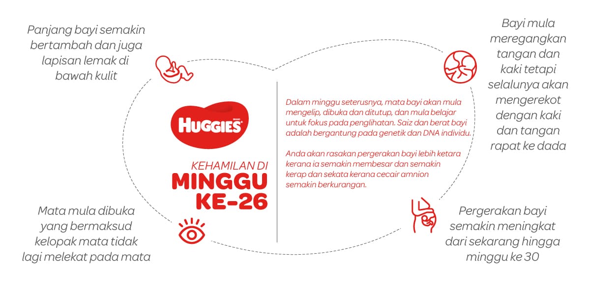 Kehamilan Di Minggu Ke-26 | Huggies Malaysia