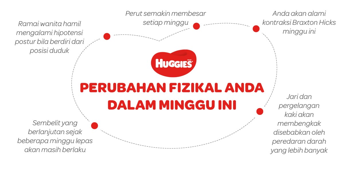 Perubahan Fizikal Ibu Mengandung 26 Minggu | Huggies Malaysia