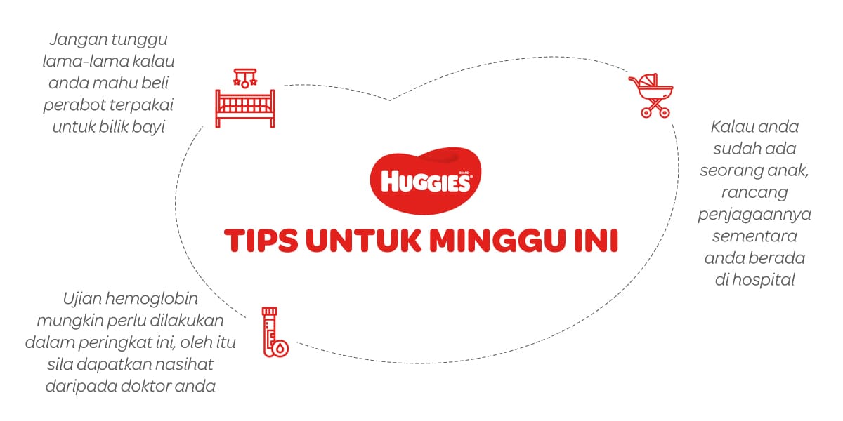 Tips Untuk Mengandung 26 Minggu | Huggies Malaysia