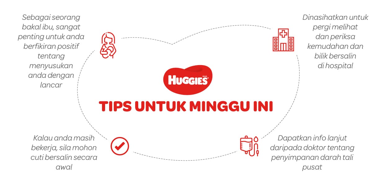 Tips Untuk Mengandung 27 Minggu | Huggies Malaysia