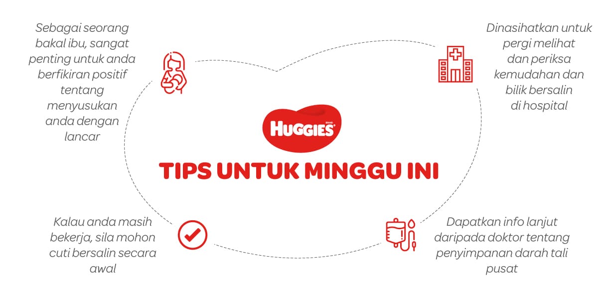 Tips Untuk Mengandung 27 Minggu | Huggies Malaysia