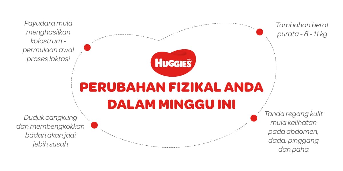 Perubahan Fizikal Ibu Mengandung 28 Minggu | Huggies Malaysia