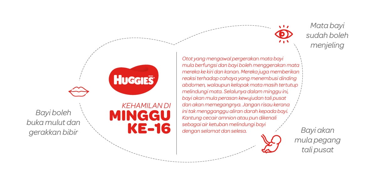 Kehamilan Di Minggu Ke-16 | Huggies Malaysia