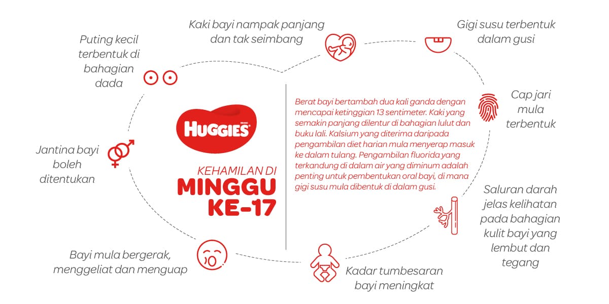 Kehamilan Di Minggu Ke-17 | Huggies Malaysia