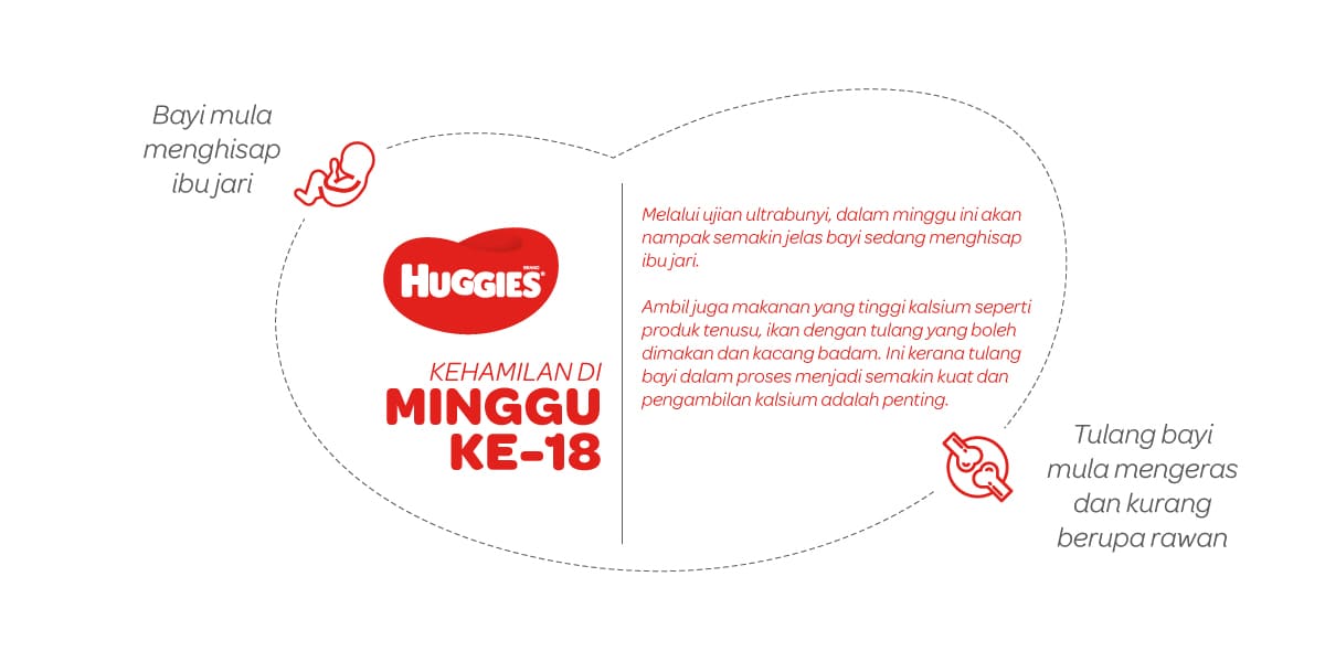 Kehamilan Di Minggu Ke-18 | Huggies Malaysia