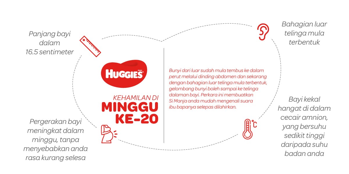 Kehamilan Di Minggu Ke-20 | Huggies Malaysia