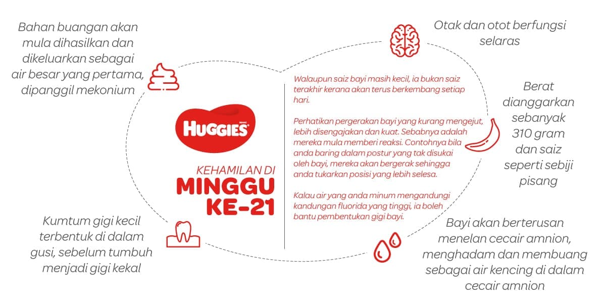 Kehamilan Di Minggu Ke-21 | Huggies Malaysia