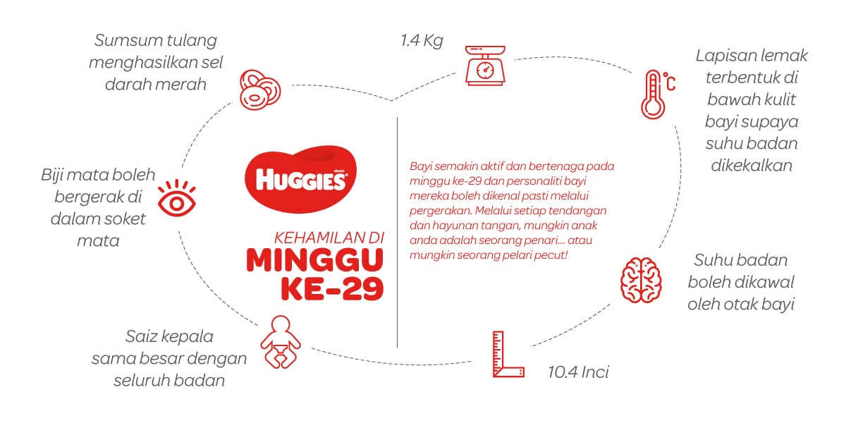 Kehamilan Di Minggu Ke-29 | Huggies Malaysia