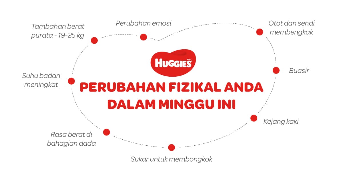 Perubahan Fizikal Ibu Mengandung 29 Minggu | Huggies Malaysia