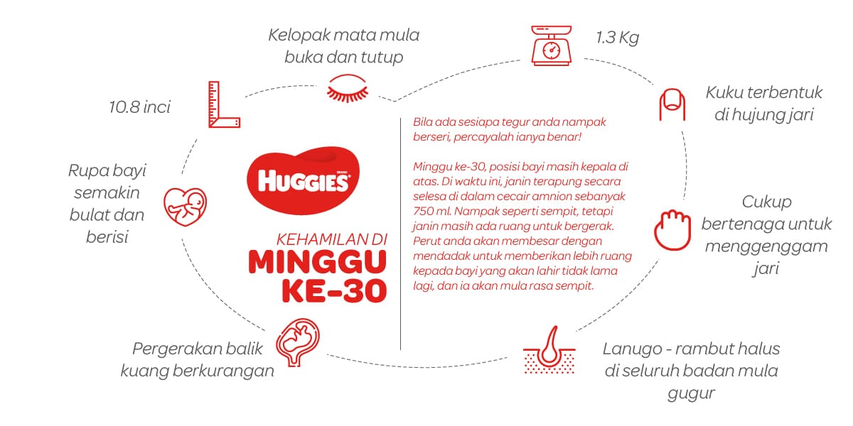 Kehamilan Di Minggu Ke-30 | Huggies Malaysia