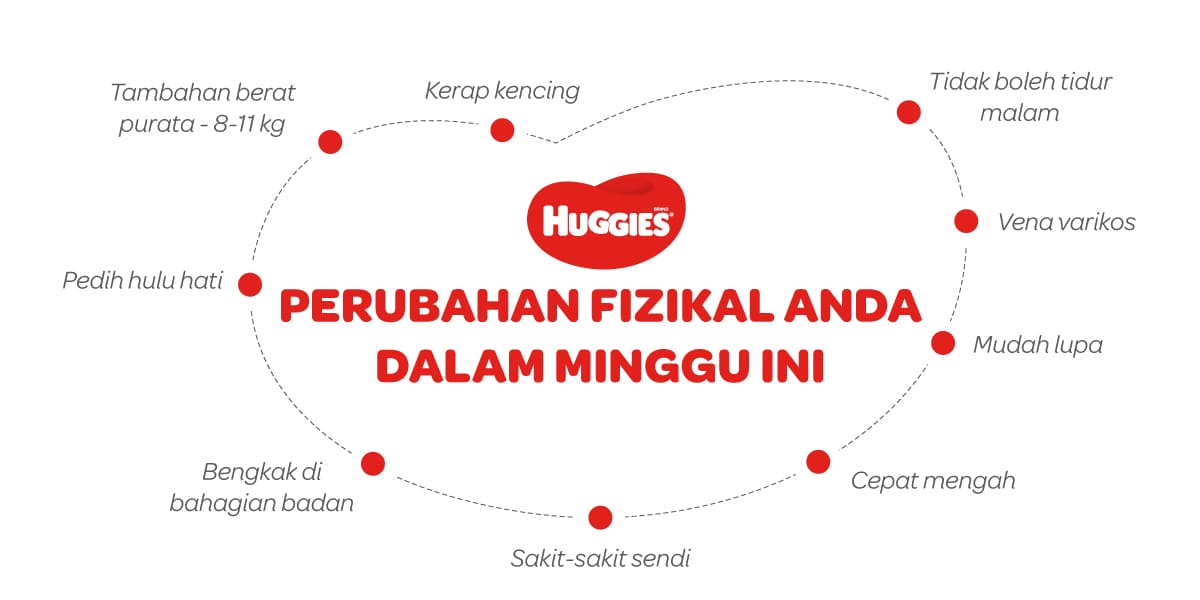 Perubahan Fizikal Ibu Mengandung 30 Minggu | Huggies Malaysia