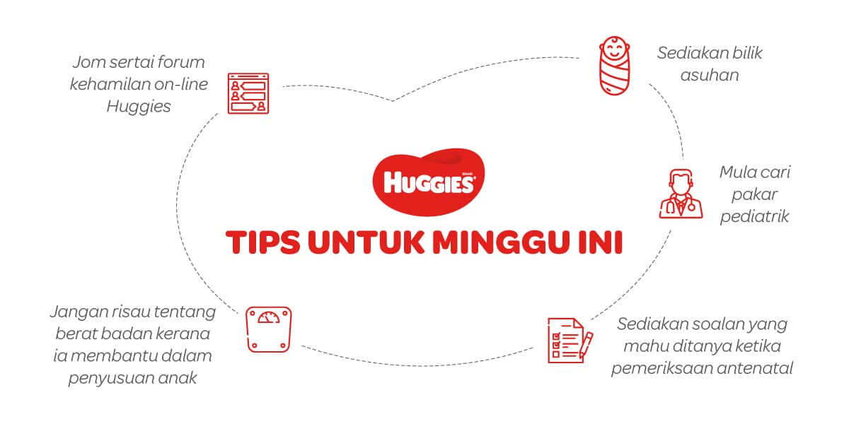 Tips Untuk Mengandung 30 Minggu | Huggies Malaysia