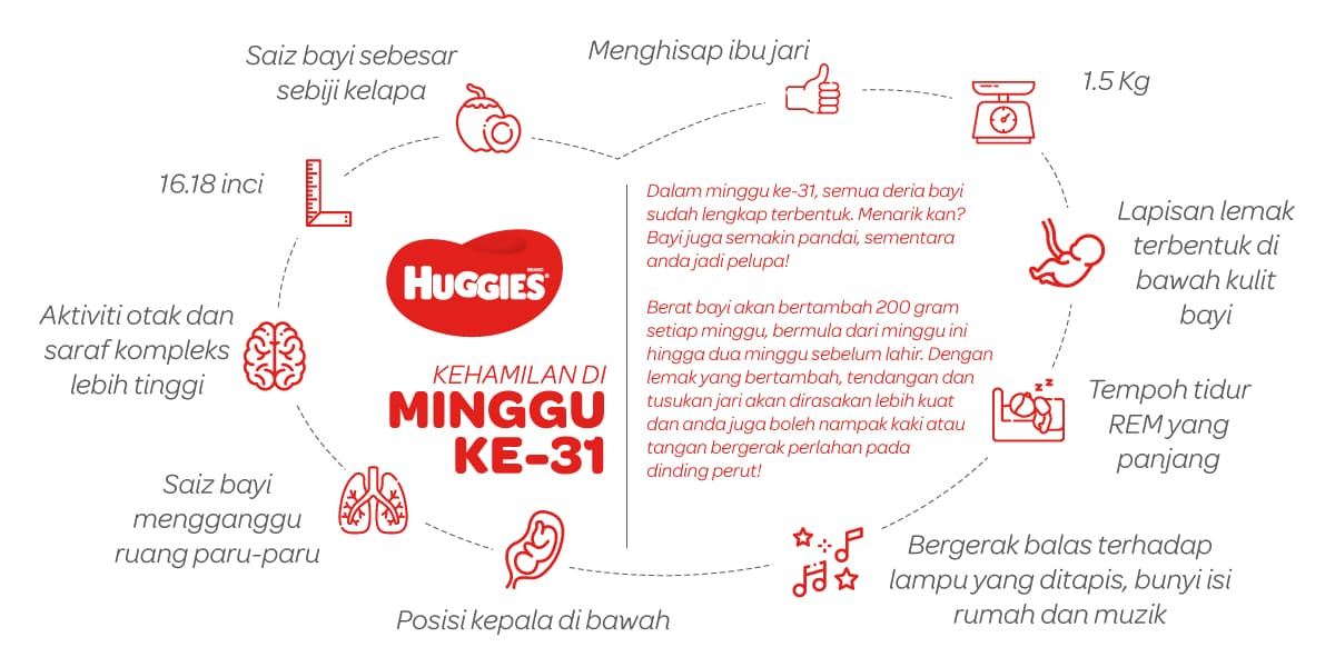 Kehamilan Di Minggu Ke-31 | Huggies Malaysia