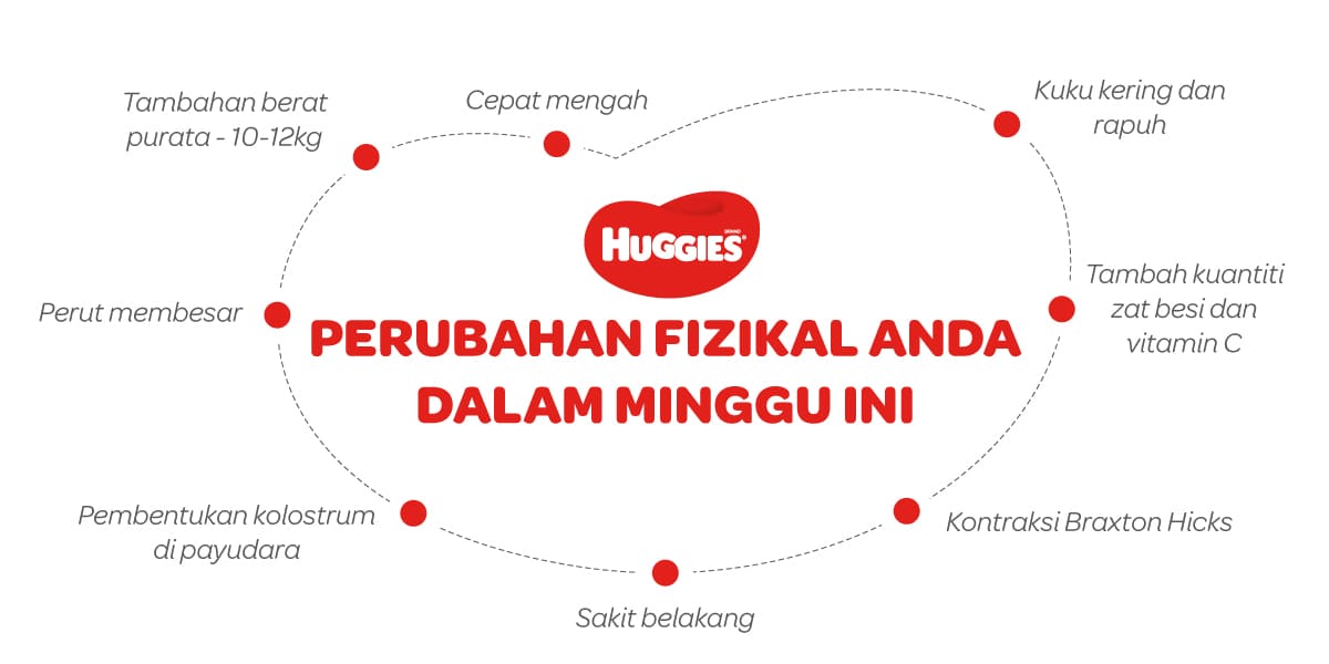 Perubahan Fizikal Ibu Mengandung 31 Minggu | Huggies Malaysia