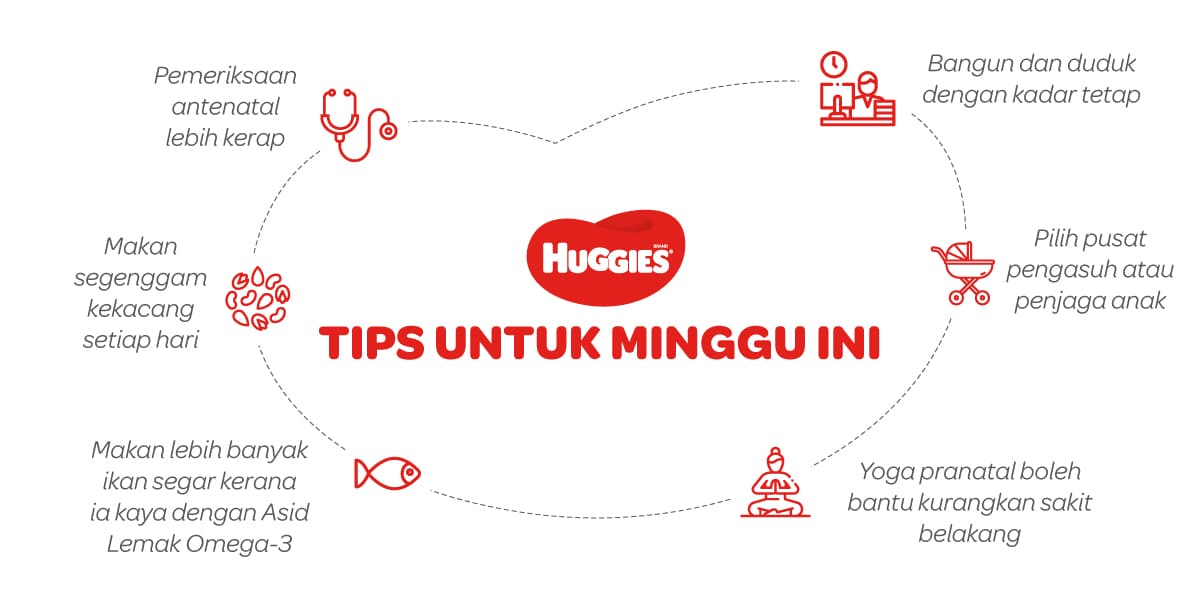 Tips Untuk Mengandung 31 Minggu | Huggies Malaysia